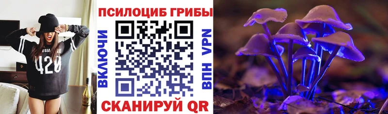 Галлюциногенные грибы Psilocybine cubensis  shop телеграм  Видное 